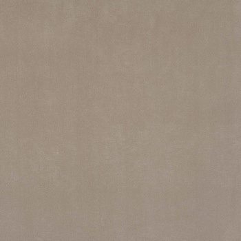 Warwick Plush Platinum Designer Fabric
