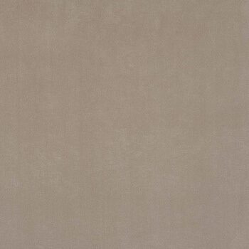 Warwick Plush Platinum Designer Fabric