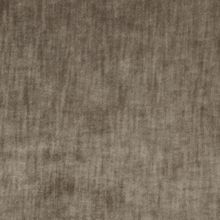 James Dunlop Determination 14-Macadamia Designer Fabric