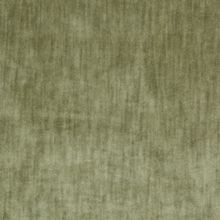 James Dunlop Determination 34-Swamp Designer Fabric