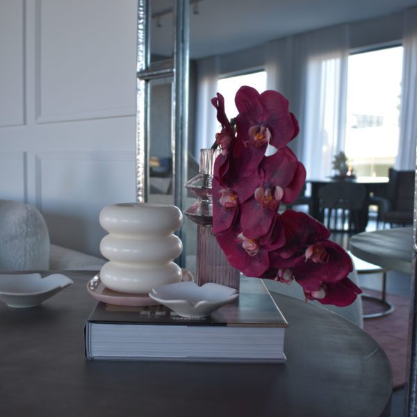 Orchid Phalaenopsis Spray-Fuchsia Flower 2