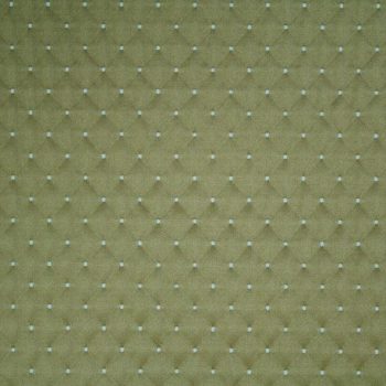 Wortley Ashley Wilde Designer Fabric Tallis 16 Olive