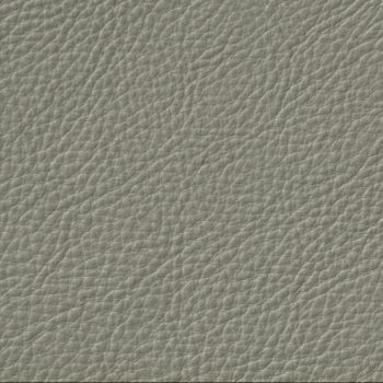 Luxury-Ash Custom Leather