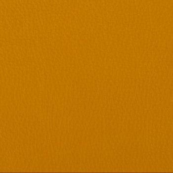 Luxury-Brass Custom Leather