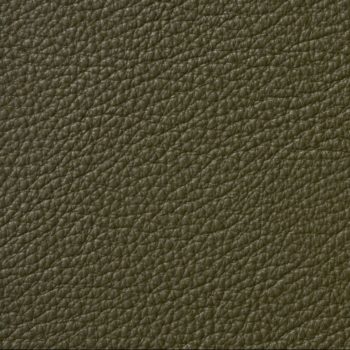 Luxury-Fern Custom Leather