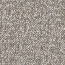 James Dunlop - Staunch Fossil