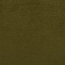 James Dunlop - Chateau Amazon