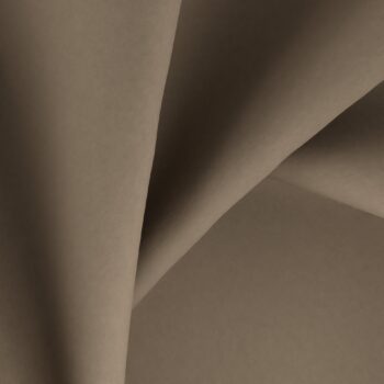 James Dunlop - Vela--24-Fungi--CloseUp_TW_CU