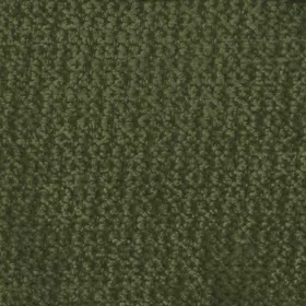 Warwick - Leonardo Olive