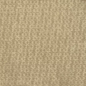 Warwick - Leonardo Sesame