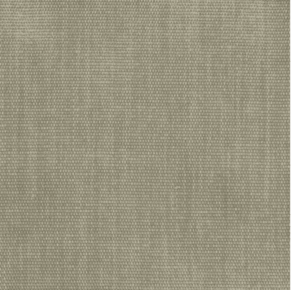 Copeland Birch Rug