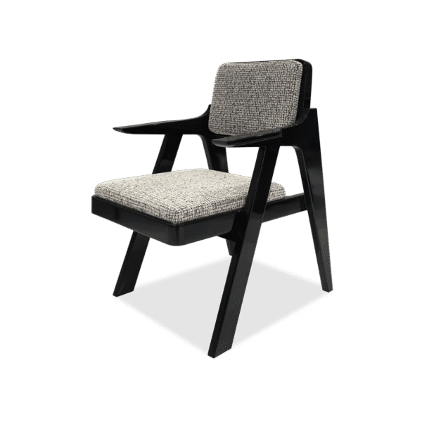 Dion Armchair 2