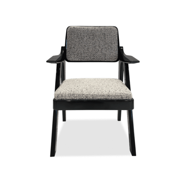 Dion Armchair 1