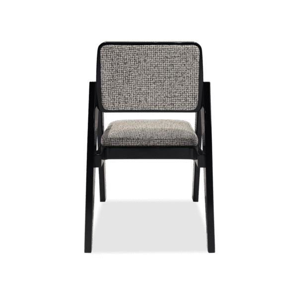 Dion Armchair 3